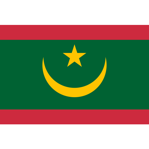 Vlag Mauritanië 70x100cm