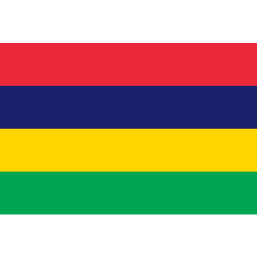 Vlag Mauritius 50x75cm