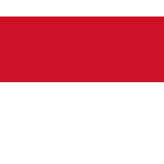 Vlag Monaco 50x75cm