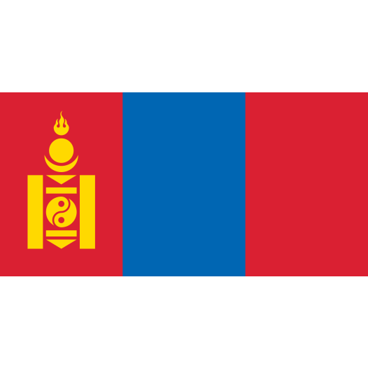 Vlag Mongolië 70x100cm