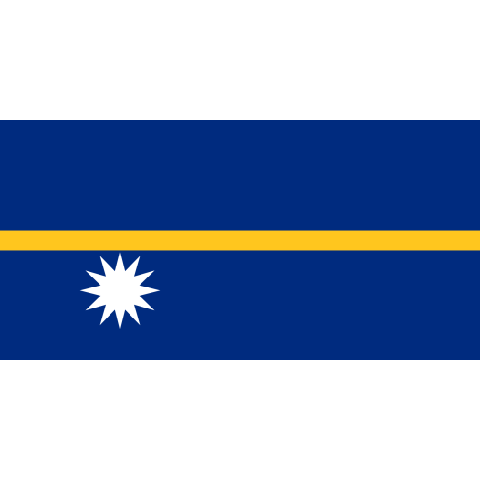 Vlag Nauru 30x45cm