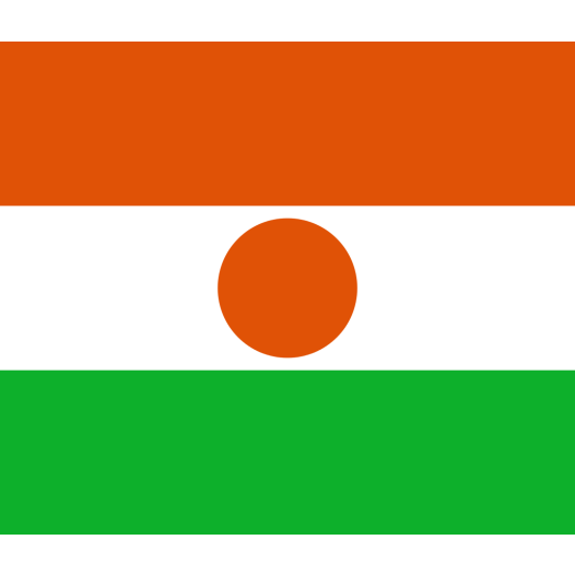 Vlag Niger 70x100cm