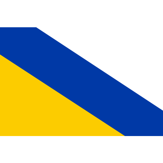 Vlag Ommen 70x100cm