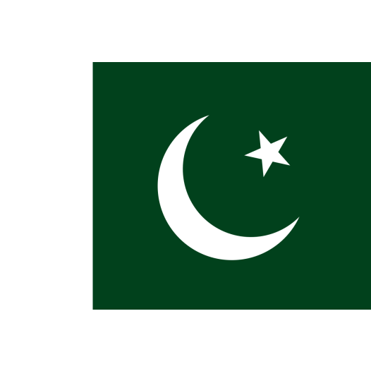 Vlag Pakistan 70x100cm