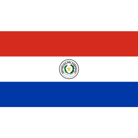 Vlag Paraguay 50x75cm