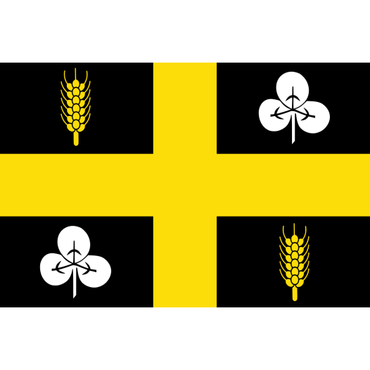 Vlag Raalte 70x100cm