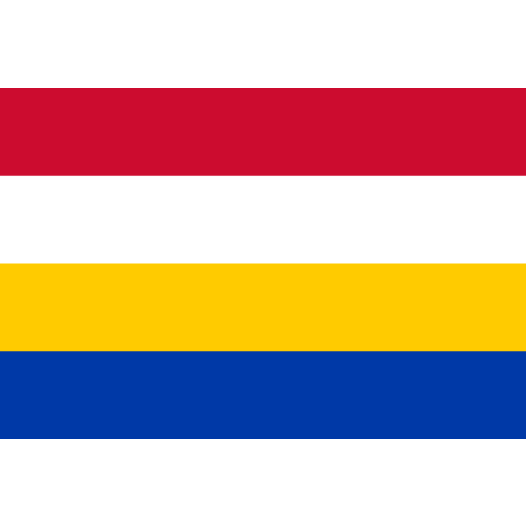 Vlag Renkum 70x100cm