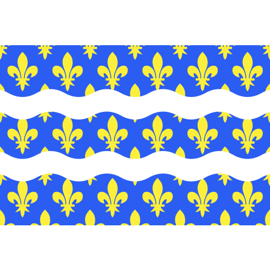 Vlag Seine-et-Marne 150x225cm