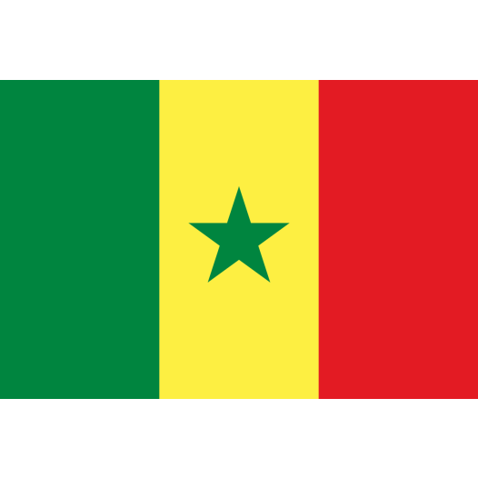 Vlag Senegal 50x75cm