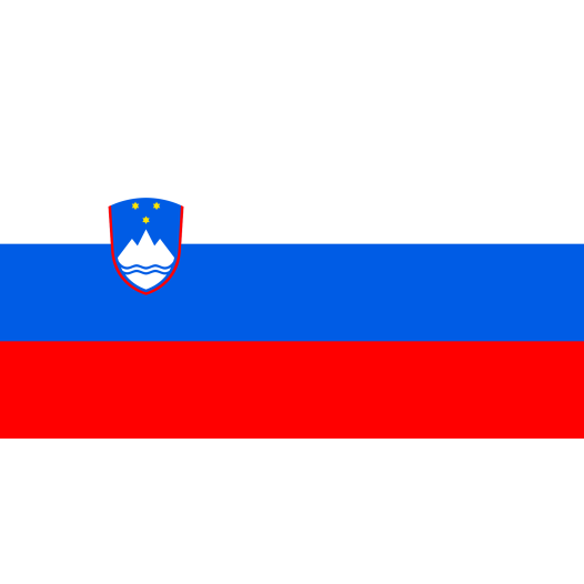 Vlag Slovenië 70x100cm