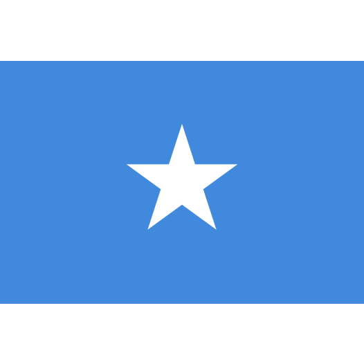 Vlag Somalië 50x75cm