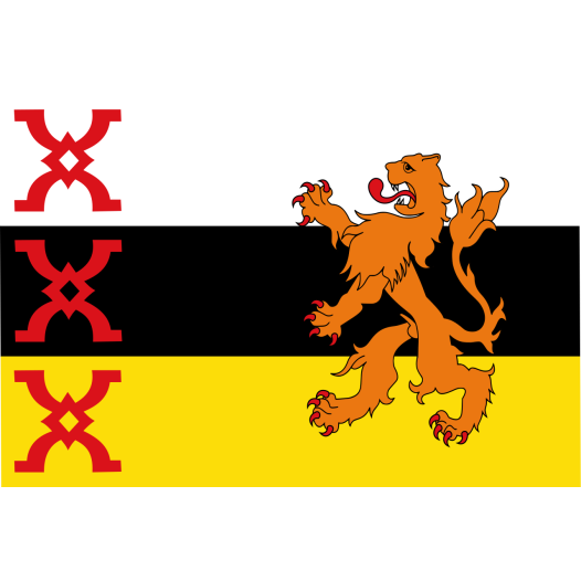 Vlag Someren 30x45cm