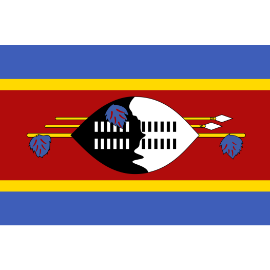 Vlag Swaziland 30x45cm