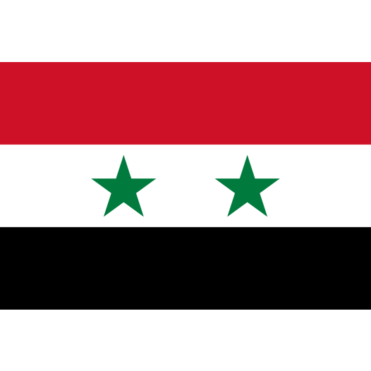 Vlag Syrië 50x75cm