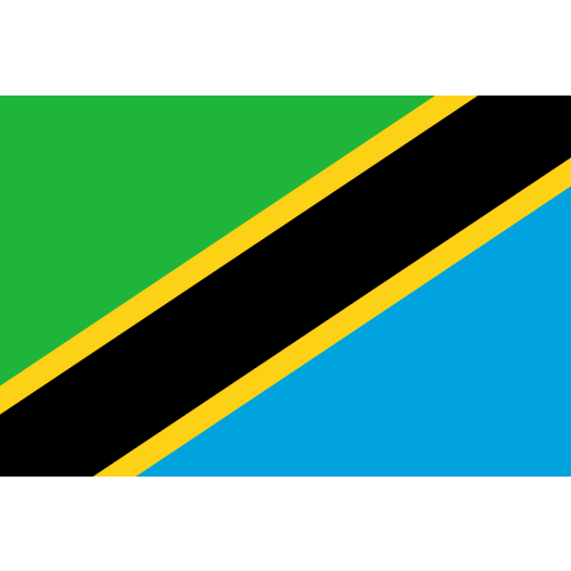 Vlag Tanzania 50x75cm