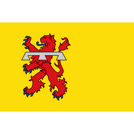 Vlag Teylingen 70x100cm