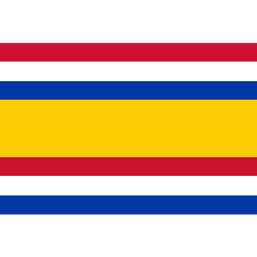 Vlag Tholen 70x100cm