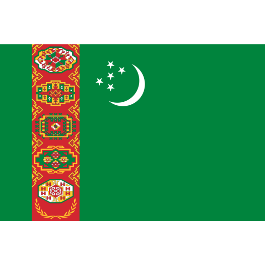 Vlag Turkmenistan 30x45cm