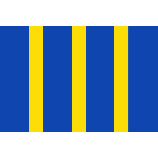 Vlag Twisk 70x100cm