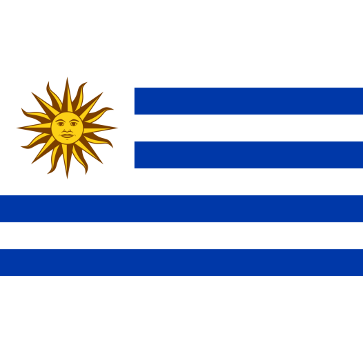 Vlag Uruguay 50x75cm