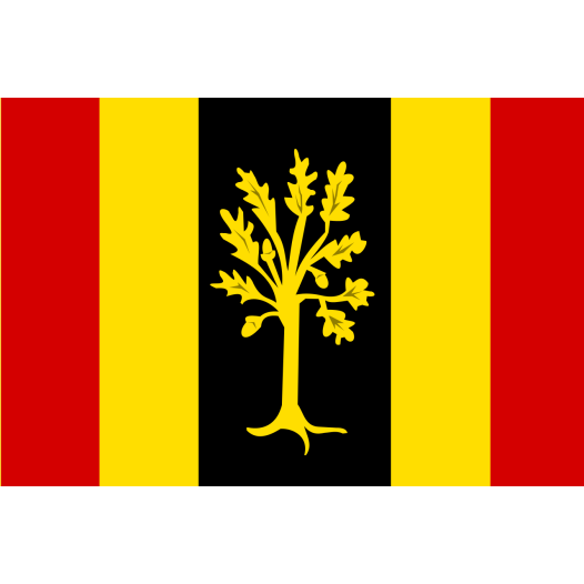 Vlag Waalwijk 70x100cm