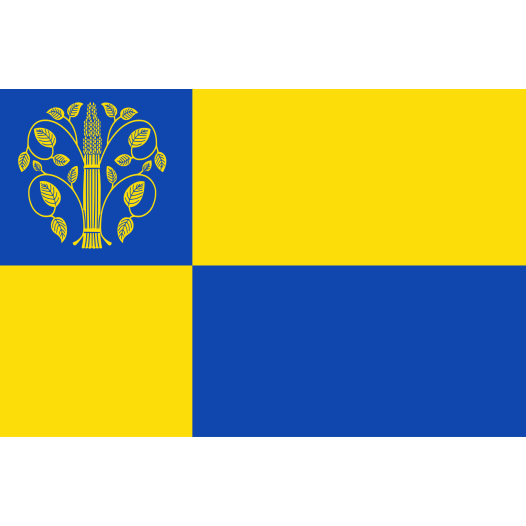 Vlag Westerwolde 70x100cm