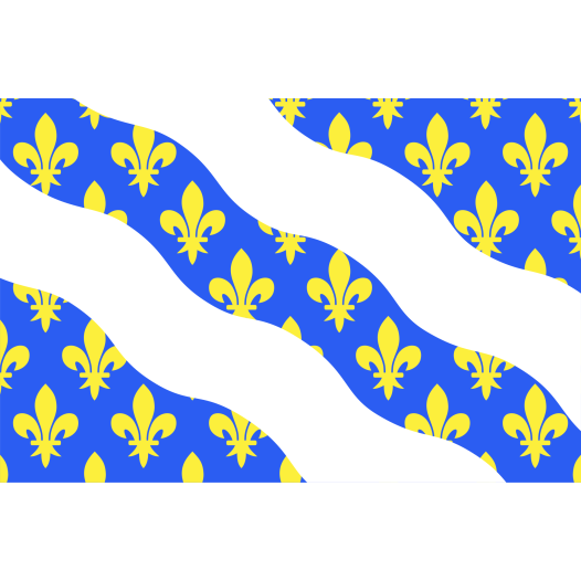 Vlag Yvelines 200x300cm