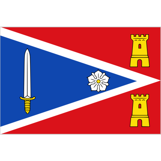 Vlag Zaltbommel 70x100cm