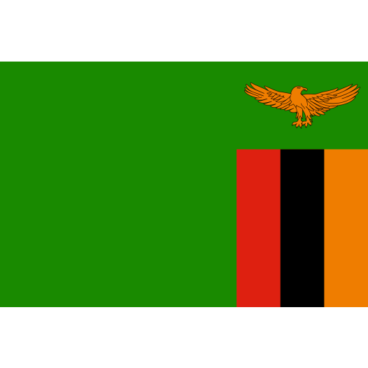 Vlag Zambia 70x100cm