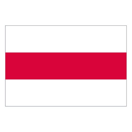 Vlag Belarus 30x45cm