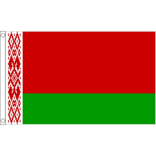 Vlag Wit Rusland - Officieel 60x90cm | Best value