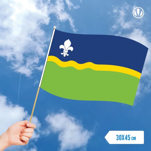 Zwaaivlag Flevoland 30x45cm