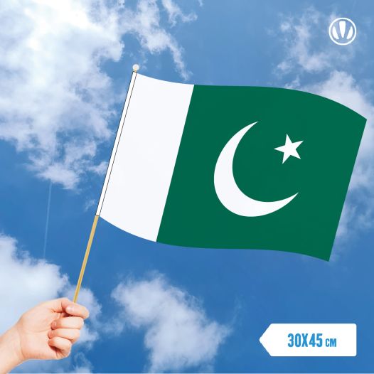 Zwaaivlag Pakistan 30x45cm | Stof