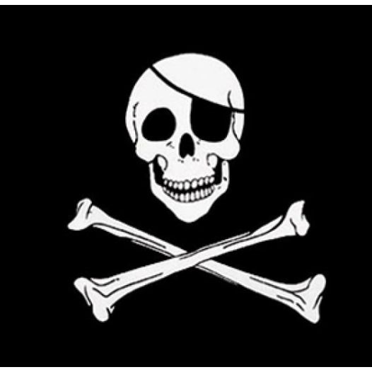 Piraten bandana Skull and Crossbones