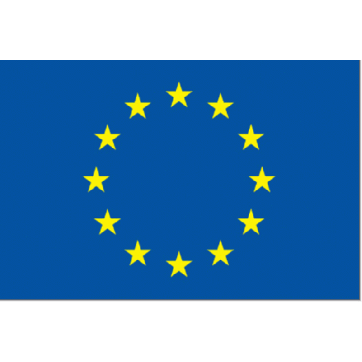 Vlag Europese Unie 90x150cm | Best Value