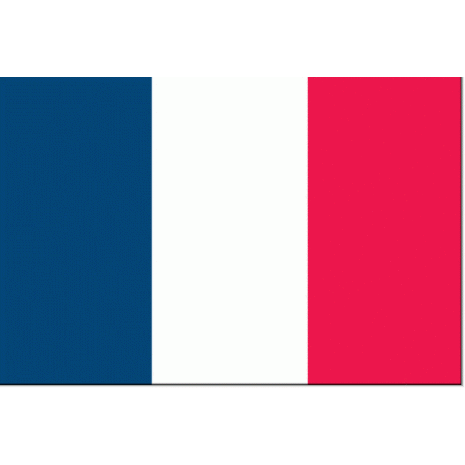 Franse vlag 30x45cm