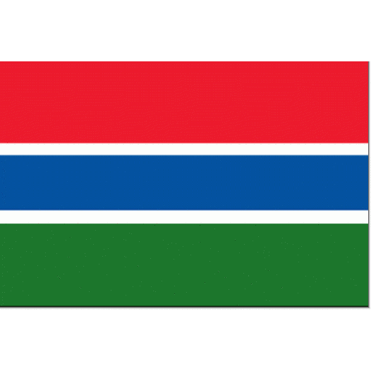 vlag Gambia 30x45cm