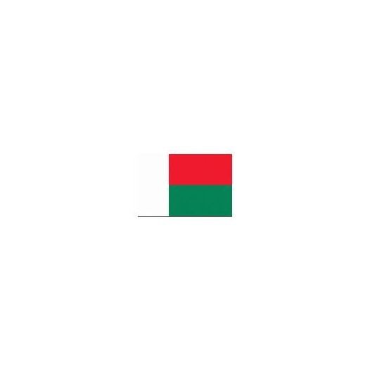 Vlag Madagaskar 90x150cm | Best Value