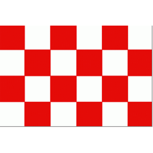 Start vlag 20x30cm