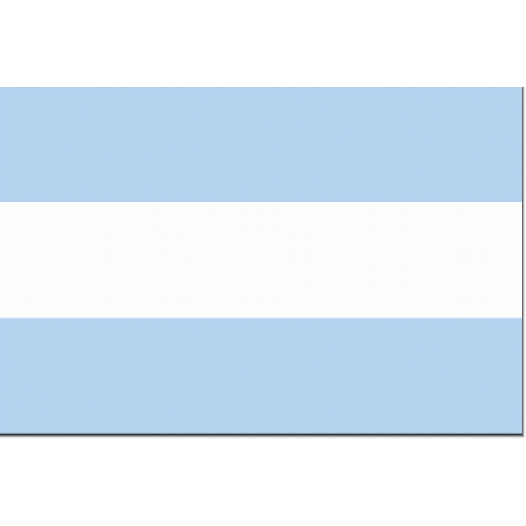 Vlag Argentinië 30x45cm