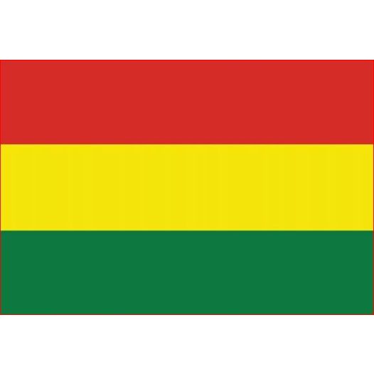 vlag Bolivia 30x45cm