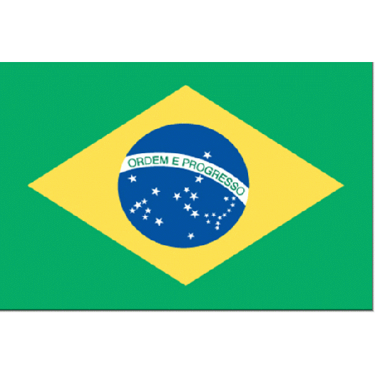 vlag Brazilie 30x45cm