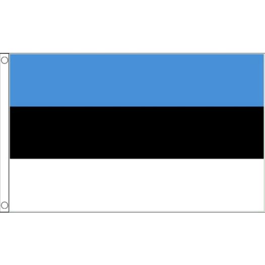 Vlag Estland 60x90cm | Best value