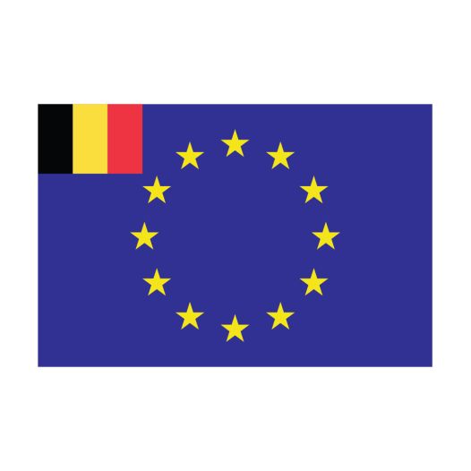 Vlag Europese Unie met inzet Belgie 100x150cm