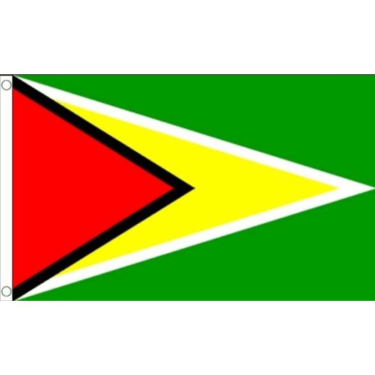 Vlag Guyana 60x90cm | Best value