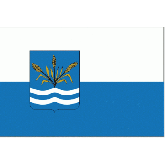 Vlag Haarlemmermeer 40x60cm