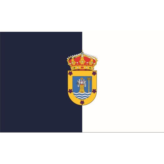 Vlag Las Palmas 50x75cm