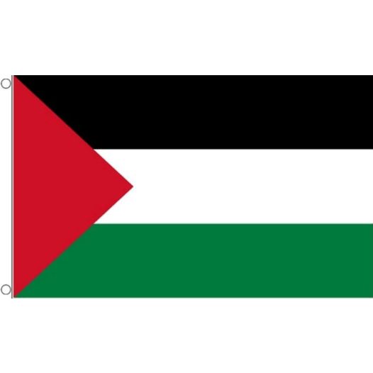 Vlag Palestina 60x90cm | Best value