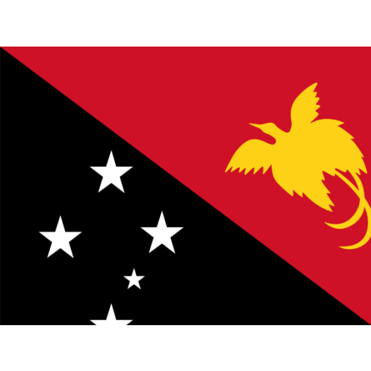 Vlag Papoea-Nieuw-Guinea 30x45cm