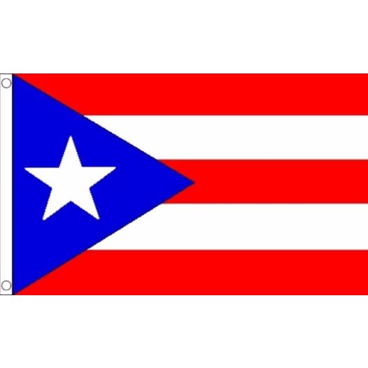 Vlag Puerto Rico 60x90cm | Best value